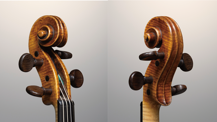 アルムヌス・アマティ